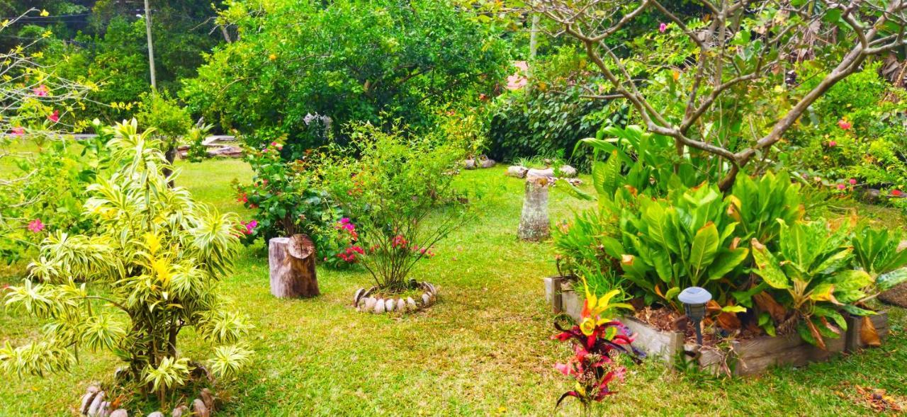 Dan Zoranz Self Catering Guest House لا ديج المظهر الخارجي الصورة