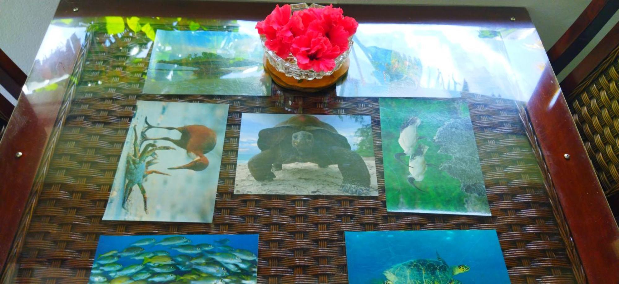 Dan Zoranz Self Catering Guest House لا ديج المظهر الخارجي الصورة