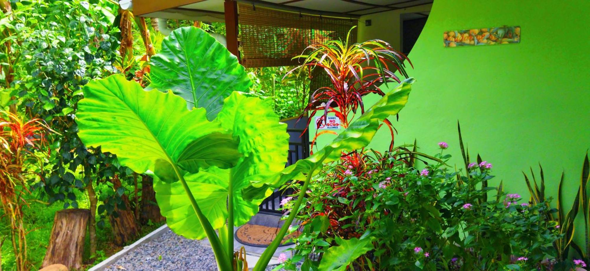 Dan Zoranz Self Catering Guest House لا ديج المظهر الخارجي الصورة